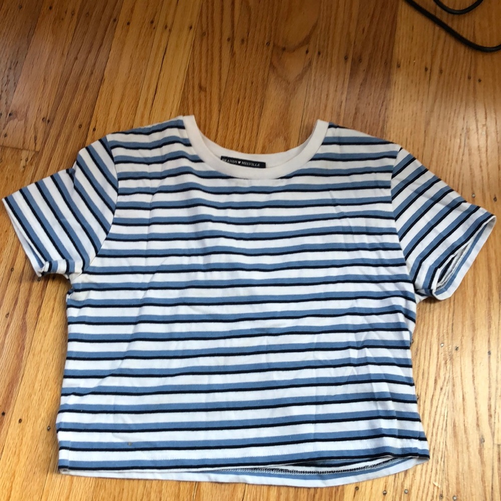 Brandy Melville stripped cropped t-shirt (size: S)